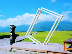 台東池上錦新三号道路 伯朗大道