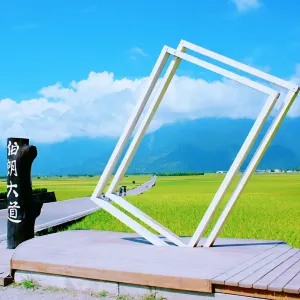 臺東池上錦新三號道路 伯朗大道