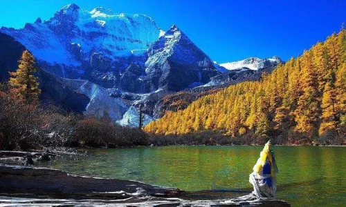 Hailuogou of Gongga Mt.China