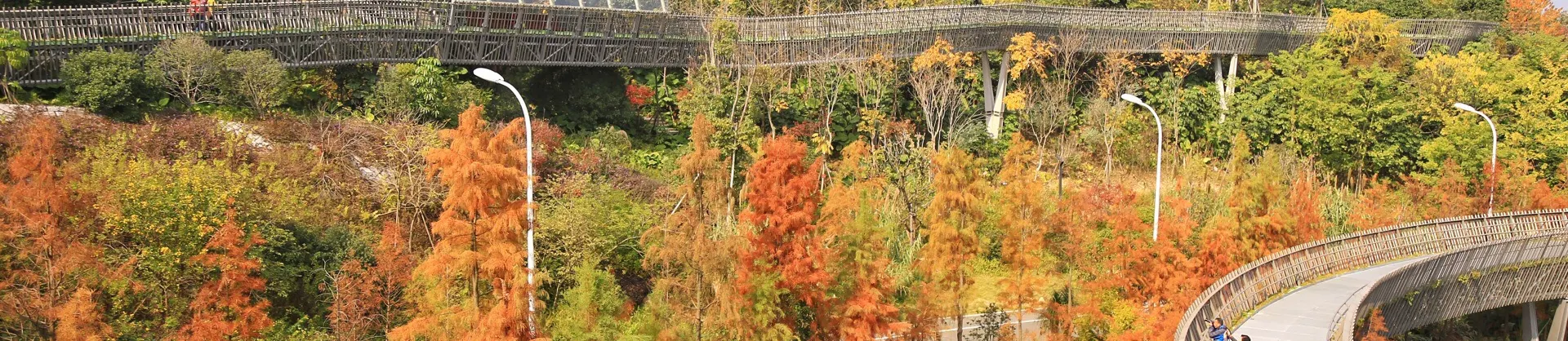 Fall Viewing Attractions