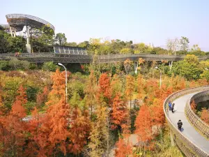Fu Forest Trail