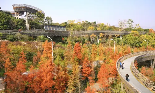 Fu Forest Trail
