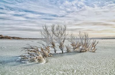 Yanchiwan National Natural Reserve
