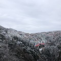 庐山得意庐酒楼 User Photo