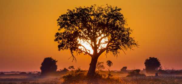 Hotels mit Bar in Botswana