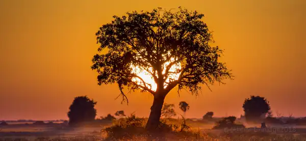 Hotels mit Wi-Fi in Botswana