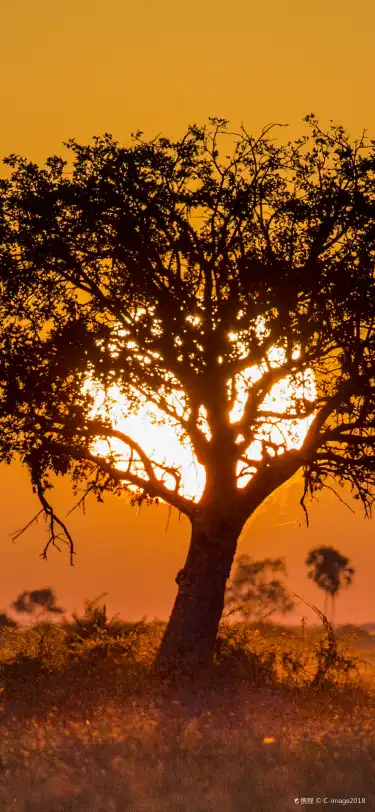 博茨瓦納設有Wi-Fi的酒店