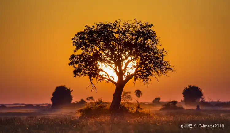 Hotel con internet in Botswana