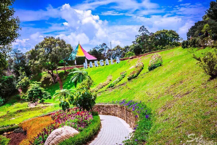 2025 Nuwara Eliya District Travel Guide: Must-see attractions, popular food, hotels, transportation routes (updated in June)