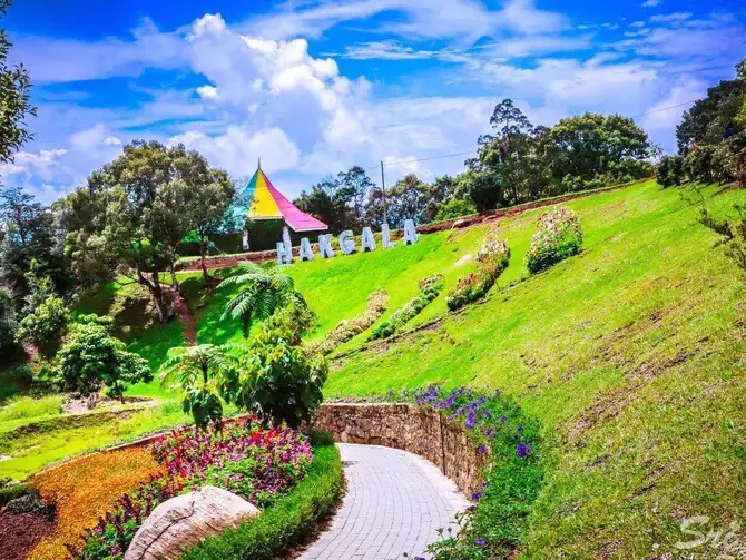 Nuwara Eliya (district)
