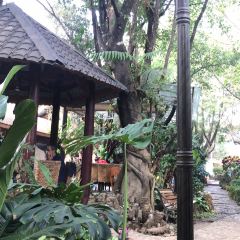 瑞麗清萊泰國餐廳張用戶圖片