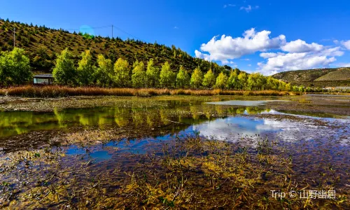 Songzanlin Scenic Spot
