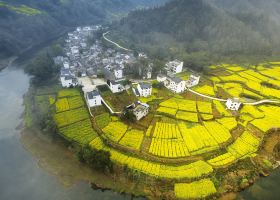 Hongcun Ancient Village โรงแรมใกล้เคียง