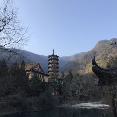 威斯汀酒店大堂吧 User Photo