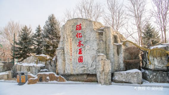 Silicified Wood Kingdom