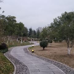 Kaiyuan Mingju User Photo