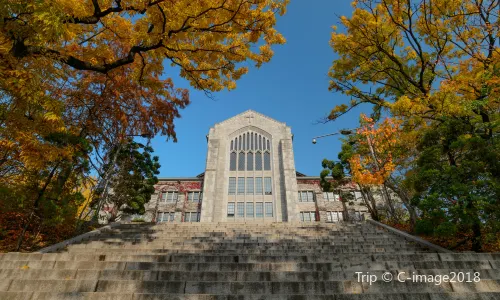 이화여자대학교