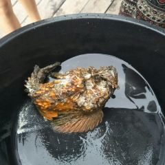 Fat Mom's Restaurant User Photo