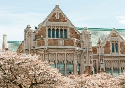 Università di Washington