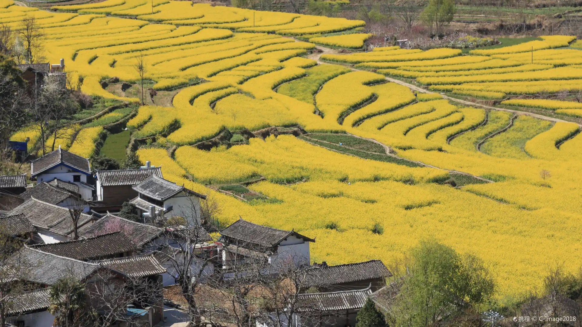 Hotels near Stone Drum (Shigu) Town