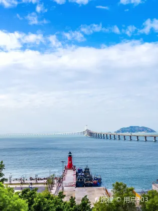 Разрешено размещения с домашними животными Отели в г. Нанао