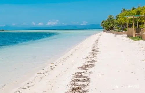 Caribbean blue water background on a white sand beach in Bohol