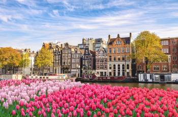 Top 3 Spring Outings in Amsterdam