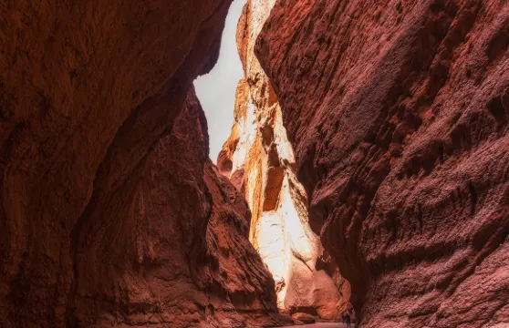 天山神祕大峽谷門票成人