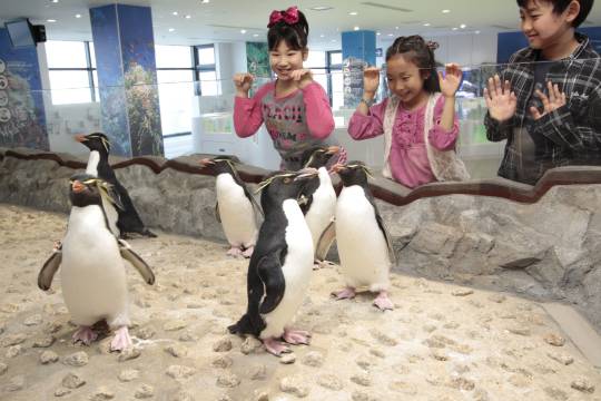 日本大阪小童樂園+大阪海遊館+天保山摩天輪+大阪城天守閣一日遊