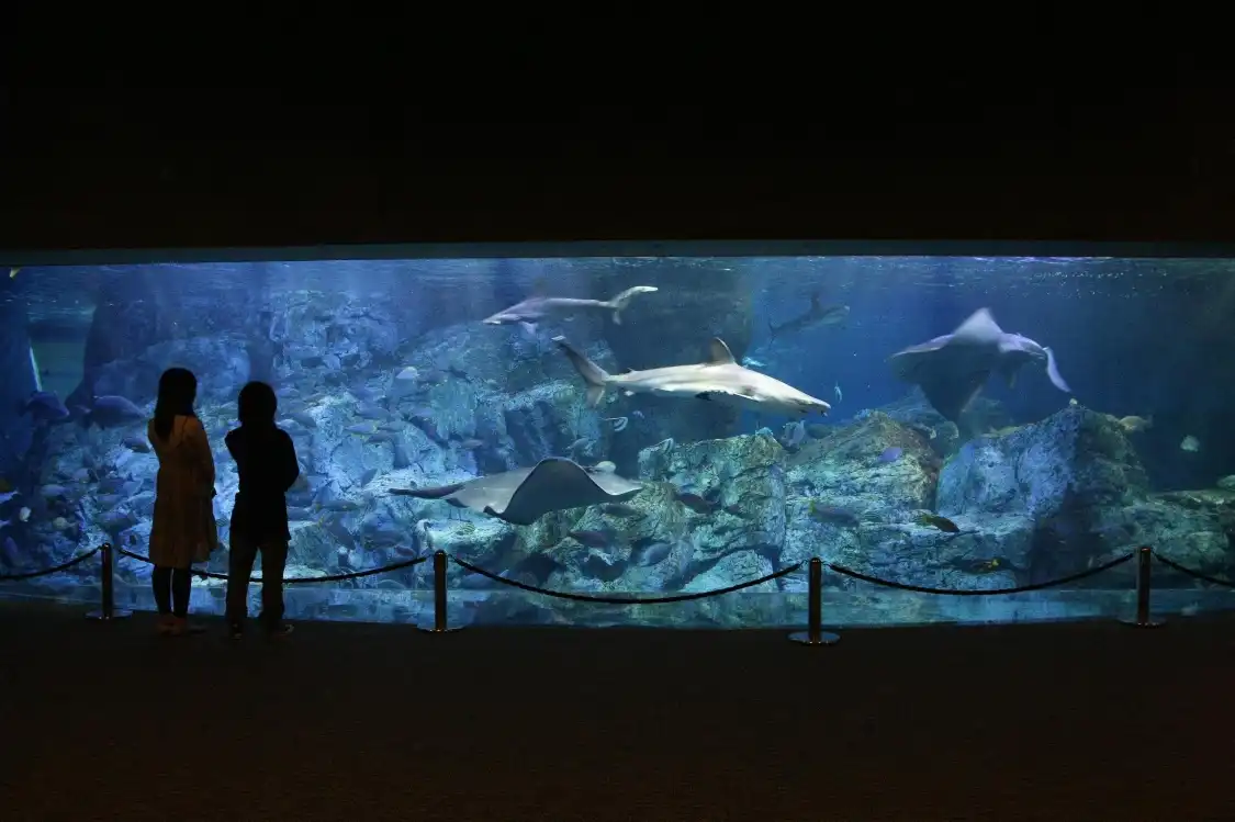 Hotels near Oita Marine Palace Aquarium "Umitamago"