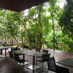 七仙岭君澜度假酒店7/5餐厅 여행 사진