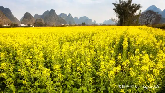 陽朔漓江三星船/四星遊船+遇龍河竹筏漂遊一日【小團/私人導覽】
