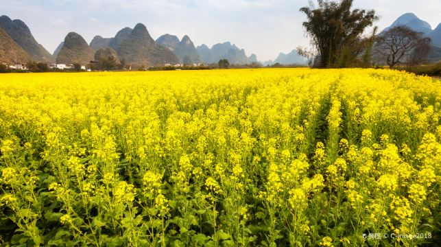 陽朔漓江三星遊船+聚龍潭+畫廊古鎮一日遊【8人小團/獨立包團】
