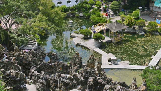 廈門鼓浪嶼+南普陀寺+菽莊花園可選一日遊【純玩無購物】