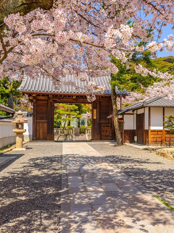 Kyoto Imperial Palace