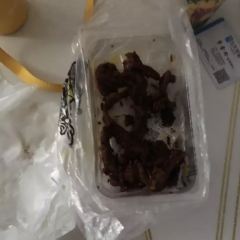 Zhouhei Duck (anlubiyunlu) User Photo