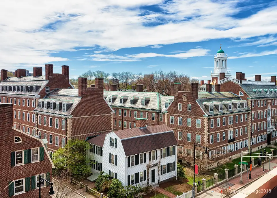 4_Università di Harvard