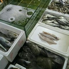 乐亭星轩程农家院 여행 사진