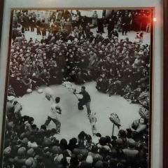 董府張用戶圖片