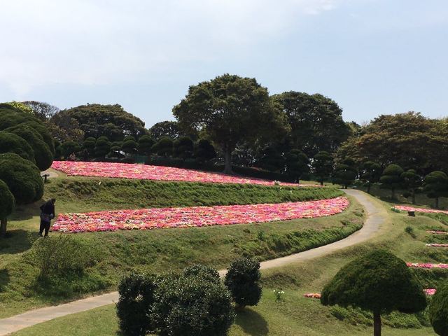 のこのしまアイランドパーク