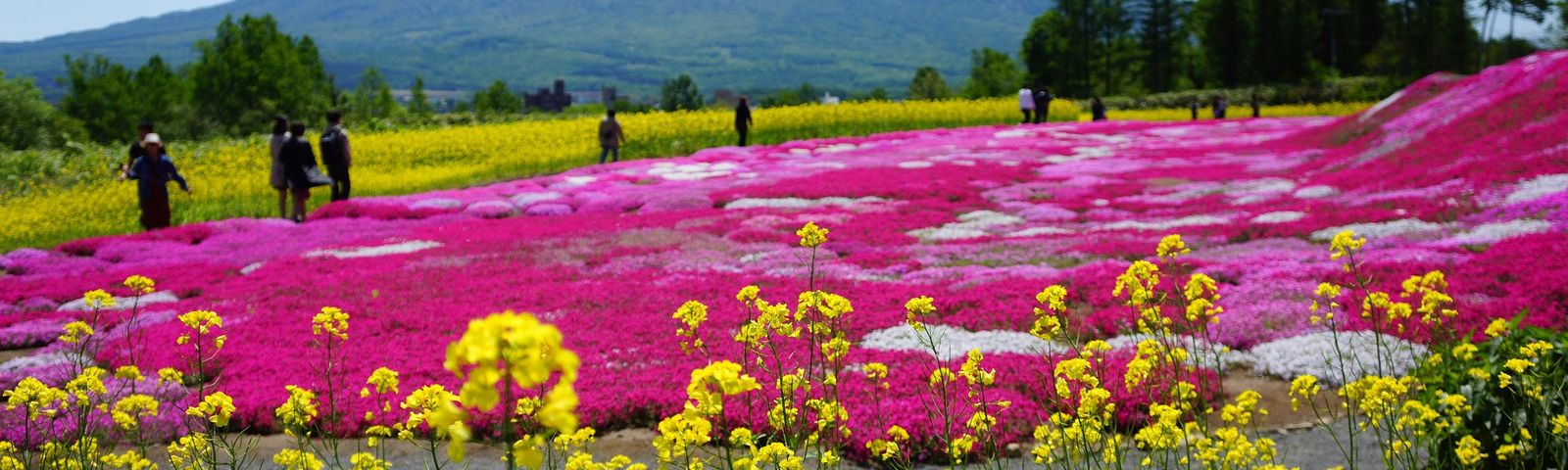 КуттянОднодневные туры