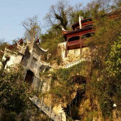 袁家豆腐 User Photo