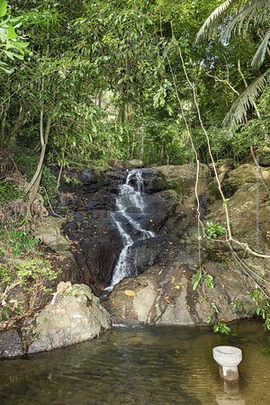 Guía de viaje de Kathu Waterfall: lugares que no puedes perderte en –  Recomendaciones cerca de Kathu Waterfall – Trip.com