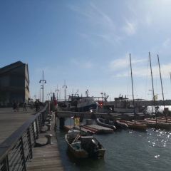 Banana Beach User Photo