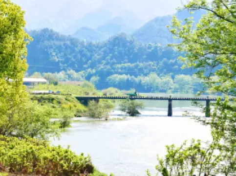 Fioriture Primaverili a Jinyun: le opzioni più popolari