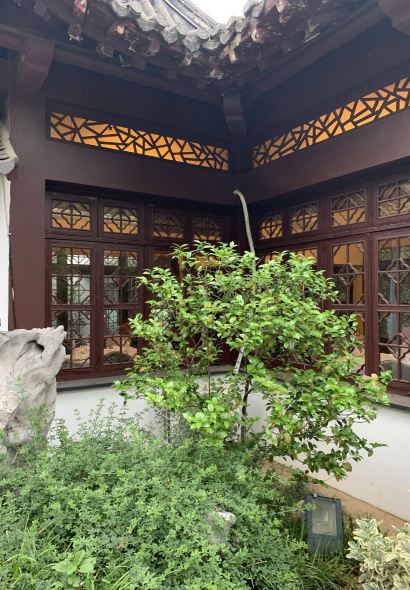 Huayuanyihao zhongyangludian