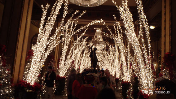 The Victorian Belle Mansion