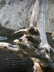 Punch bowls