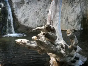Santa Paula Punch Bowls