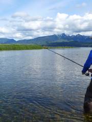 Denali Fly Fishing Guides